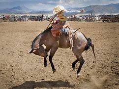 Image result for Western Horse Riding