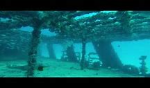 Image result for Sunken Ship Diving