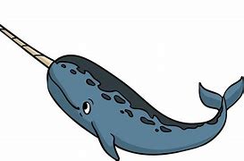 Image result for Narwhal Horn Cartoon