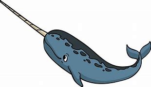 Image result for Narwhal Cartoon with Cat Ears