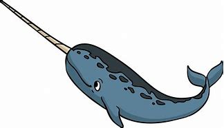 Image result for Weird Dutch Narwhal Cartoon