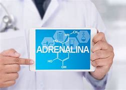 Image result for adrenapina