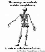 Image result for Skeleton Pool Meme
