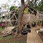 Image result for Bamboo Geodesic Dome