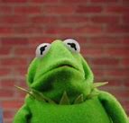 Image result for Kermit the Frog PFP Funny
