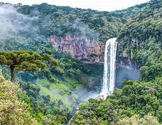 Image result for tropical rainforest wallpapers 4k phones