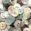Image result for Real Pearl Buttons
