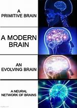Image result for Brain Development Meme