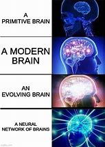 Image result for Brain Mess Meme