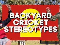 Image result for BackYard Cricket Pitch