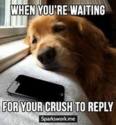 Image result for Girl Waiting by the Phone Meme