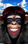 Image result for Monkey with Human Face