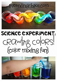 Image result for Color-Mixing Experiments for Preschoolers