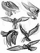 Image result for Winged Man Anatomy