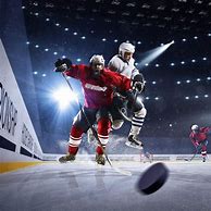 Image result for Hockey Puck Ball