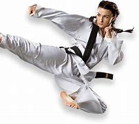 Image result for Martial Arts Photos Free