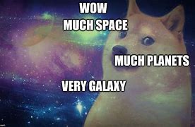 Image result for Spaced Out Dog Meme