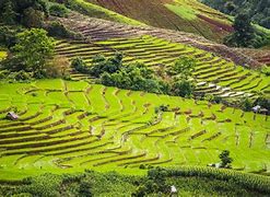 Image result for Chiang Mai Thailand Retirement