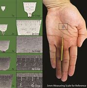 Image result for How Big Is 5 mm in Diameter