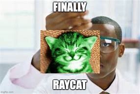 Image result for Finally Cat Meme