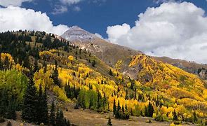 Image result for San Juan Mountains Fall Colors