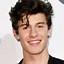 Image result for Shawn Mendes Haircut