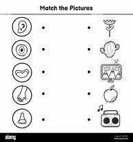 Image result for Five Senses Matching
