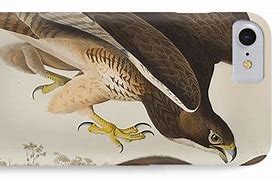 Image result for Buzzard Phone Case