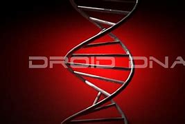 Image result for DNA Driod