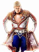 Image result for Cody Rhodes Pants