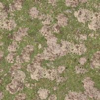 Image result for Sandy Grass Texture