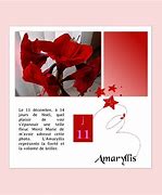 Image result for amaril�dei