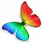 Image result for Rainbow Butterfly Art