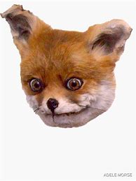 Image result for Taxidermy Fox Meme