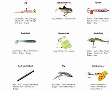 Image result for Fishing Lure Type Chart