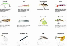 Image result for Fishing Lure Size Chart