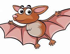 Image result for Fruit Bat Face Drawing