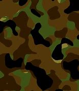 Image result for camouflage