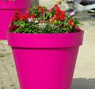 Image result for Dobla Flower Pot
