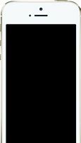 Image result for iPhone 5S Model A1530