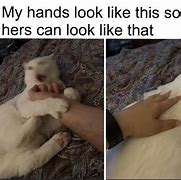 Image result for Guy Petting Cat Meme