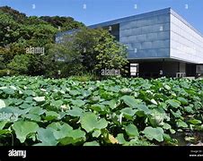 Image result for Kanagawa Japan Garden