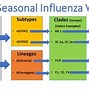 Image result for Influenza AOR B