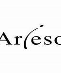 Image result for arieso