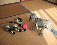 Image result for Sesame Aibo and Other Colors