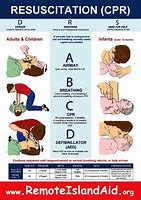 Image result for CPR Vet Med Poster