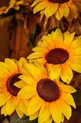 Image result for Sunflower Lock Screen