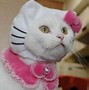 Image result for Toy Story Cat