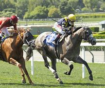 Image result for Horse Racing Santa Anita