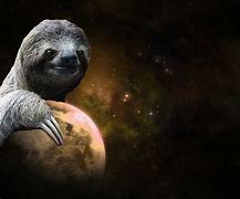 Image result for Funny Sloth Background Desktop